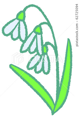 Snow Drop Snow Drop 62725094