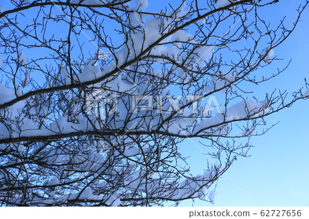 Image of snow Image of snow 62727656