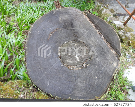 Mori yoshino 62727724