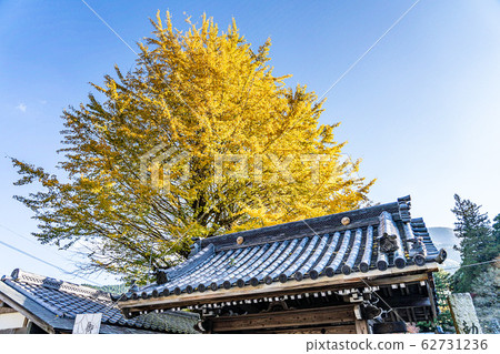 Raijin Senjoji Great Imperial Villa (Itoshima City, Fukuoka Prefecture) Raijin Senjoji Great Imperial Villa (Itoshima City, Fukuoka Prefecture) 62731236