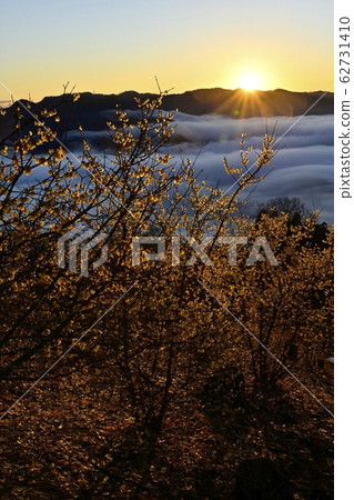 Higashi-Chichibu mountains and the morning sun in the sea of clouds that covers the rowby and Nagatoro town from Hotozan rowby garden 62731410