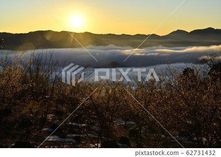 Higashi-Chichibu mountains and the morning sun in the sea of clouds that covers the rowby and Nagatoro town from Hotozan rowby garden Higashi-Chichibu mountains and the morning sun in the sea of clouds that covers the rowby and Nagatoro town from Hotozan rowby garden 62731432
