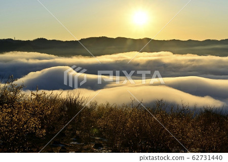 東秩父山和從厚oz山羅比花園覆蓋著羅比和長ator町的雲海中的早晨的陽光 東秩父山和從厚oz山羅比花園覆蓋著羅比和長ator町的雲海中的早晨的陽光 62731440