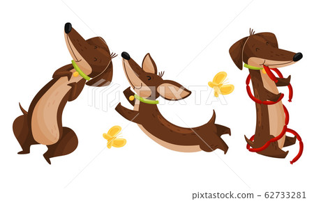 Cartoon Short-legged Dachshund Character with Long Body Eating Sausages and Catching Butterflies Vector Set 62733281
