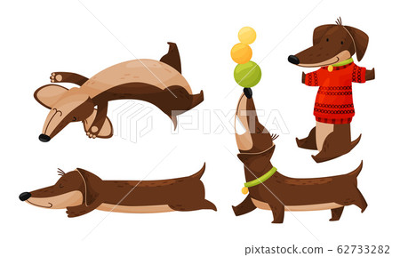 Cartoon Short-legged Dachshund Character with Long Body Sleeping and Juggling with Balls Vector Set 62733282