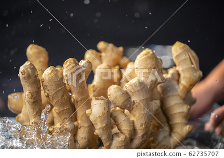 薑,香辛料,中藥,生G、スパイス、漢方薬、Ginger, spices, Chinese medi 薑,香辛料,中藥,生G、スパイス、漢方薬、Ginger, spices, Chinese medi 62735707