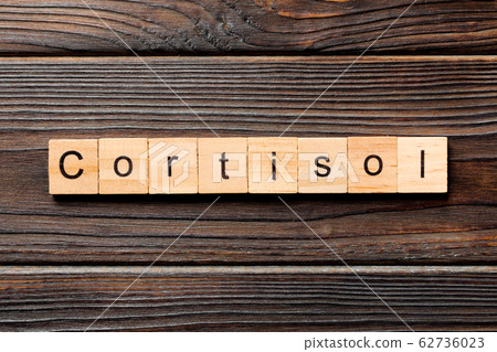 Cortisol word written on wood block. Cortisol text 62736023
