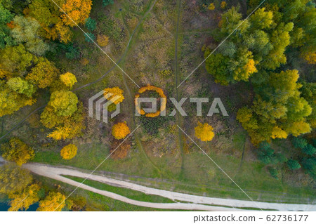 Top view of the autumn park and flower bed. Top view of the autumn park and flower bed. 62736177