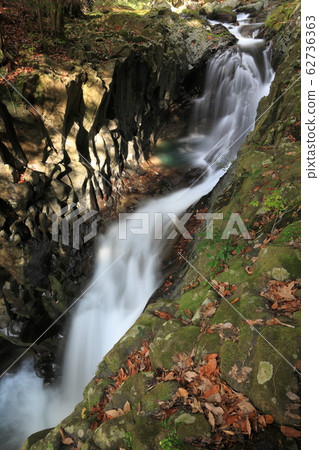 Kawazu Nanakiri會議瀑布 Kawazu Nanakiri會議瀑布 62736363