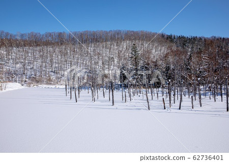Biei Winter Blue Pond Biei Winter Blue Pond 62736401