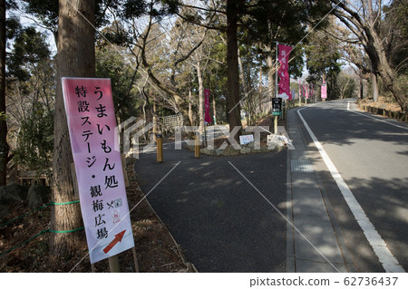 Tsukuba Mountain Plum Festival 2020 62736437