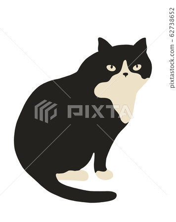 Cat catch illustration 62738652