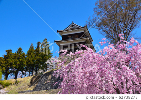 櫻花景色上田城南八木 62739275