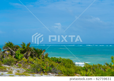 Caribbean coast near Tulum. Turquoise sea and blue sky. Nature with rocks and plants. Travel photo, background. Yucatan. Quintana roo 62739631