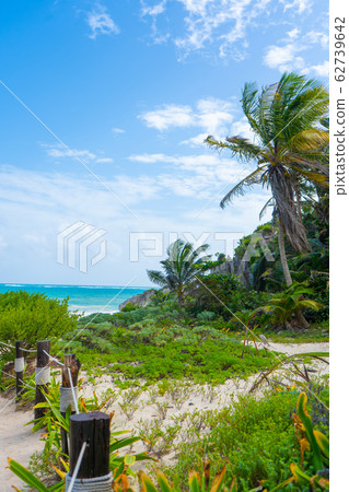 Caribbean coast near Tulum. Turquoise sea and blue sky. Nature with rocks and plants. Travel photo, background. Yucatan. Quintana roo. 62739642
