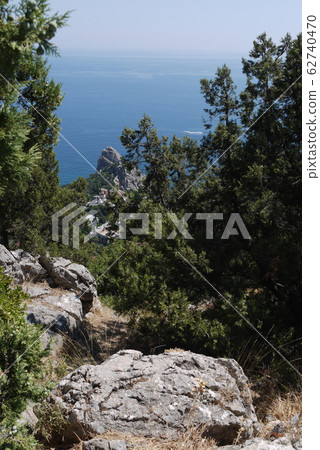 small green trees on the background of the boundle 62740470