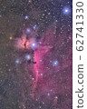馬頭星雲和燃燒的樹狀星雲 62741330