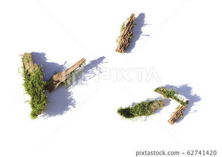 Bark and moss Bark and moss 62741420