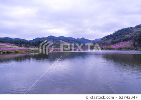Dohwa, Ho Myungji, Gyeongsan-si, Gyeongbuk 62742347