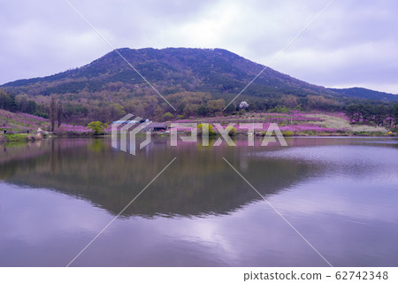 Dohwa, Ho Myungji, Gyeongsan-si, Gyeongbuk Dohwa, Ho Myungji, Gyeongsan-si, Gyeongbuk 62742348