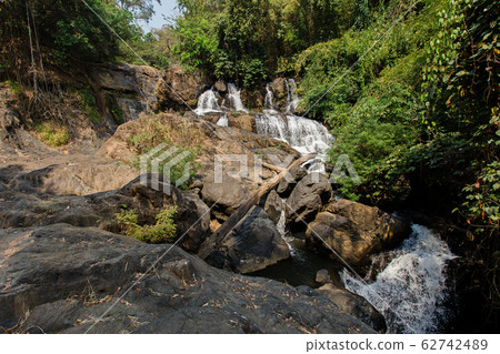 Thailand, Beauty, Environment, Flowing, Forest 62742489