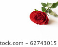 Beautiful red rose isolated on white background. 62743015
