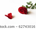 Beautiful red rose isolated on white background. 62743016