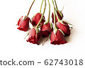 Beautiful red rose isolated on white background. 62743018