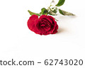 Beautiful red rose isolated on white background. 62743020