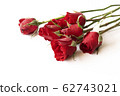 Beautiful red rose isolated on white background. 62743021