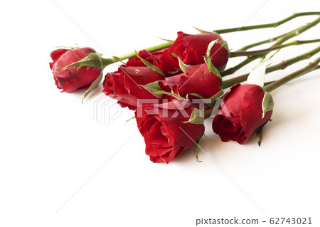 Beautiful red rose isolated on white background. Beautiful red rose isolated on white background. 62743021