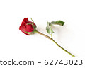 Beautiful red rose isolated on white background. 62743023