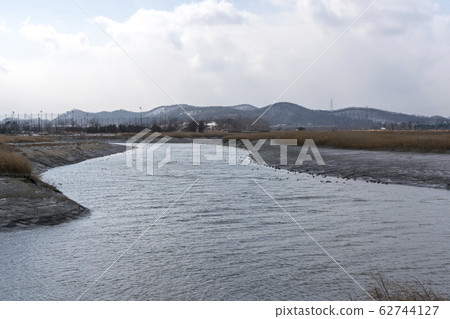 Siheung Tidal-Ecological Park, Siheung City, Gyeonggi-do Siheung Tidal-Ecological Park, Siheung City, Gyeonggi-do 62744127