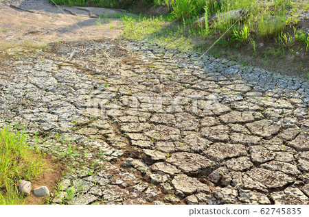 Dry lake or swamp in the process of drought and lack of rain or moisture, a global natural disaster Dry lake or swamp in the process of drought and lack of rain or moisture, a global natural disaster 62745835