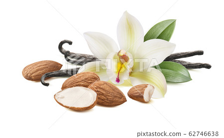 Vanilla beans with flower and almond nuts isolated on white background Vanilla beans with flower and almond nuts isolated on white background 62746638