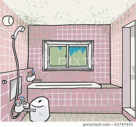 傳統的帶模具浴 傳統的帶模具浴 62747443