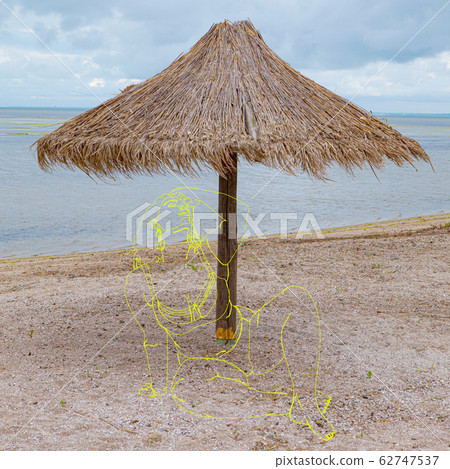 Trendy artwork, modern design. Contemporary art collage. Trendy artwork, modern design. Contemporary art collage. 62747537