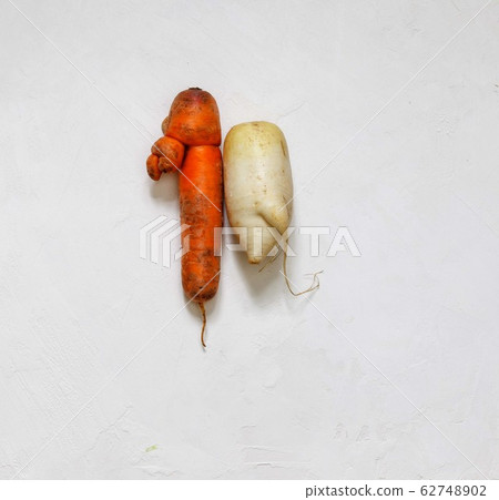 Ugly Carrots and Radishes Daikon in the shape of funny creatures, backs to each other Ugly Carrots and Radishes Daikon in the shape of funny creatures, backs to each other 62748902