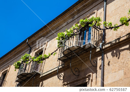 Beautiful facades of the houses at the Calderon de la Barca street in Salamanca city center Beautiful facades of the houses at the Calderon de la Barca street in Salamanca city center 62750387