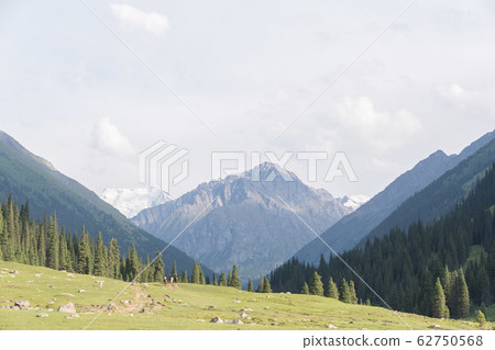 Artin Alashan 62750568