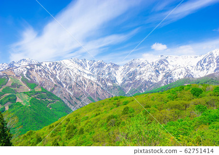 從白馬山港看到的初夏北阿爾卑斯山[長野縣] 62751414