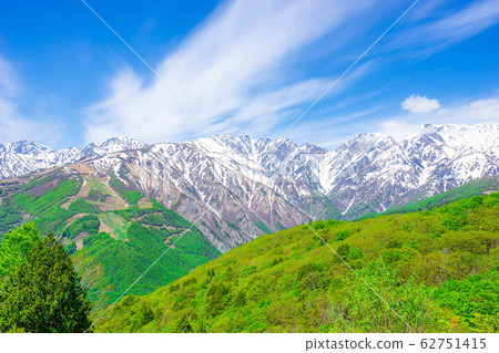 從白馬山港看到的初夏北阿爾卑斯山[長野縣] 62751415