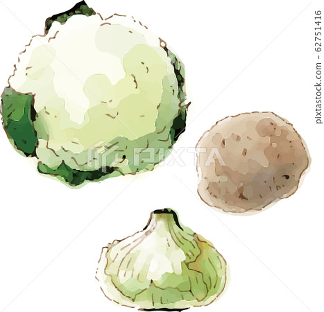 Vegetables Vegetables 62751416