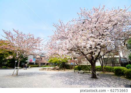 Minami Kamata 3-chome Sakura Park Minami Kamata, Ota-ku, Tokyo Minami Kamata 3-chome Sakura Park Minami Kamata, Ota-ku, Tokyo 62751663