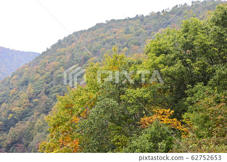 Arashiyama Observatory Hozugyo Valley Arashiyama Observatory Hozugyo Valley 62752653