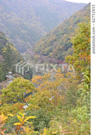 嵐山天文台Hozugyo Valley 嵐山天文台Hozugyo Valley 62752655