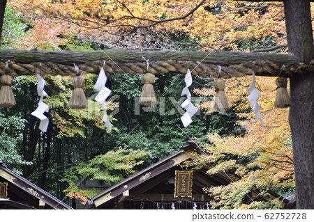 黑木的野宮神社鳥居 62752728