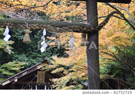 黑木的野宮神社鳥居 62752729