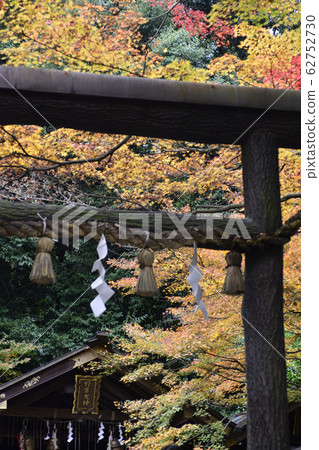 黑木的野宮神社鳥居 62752730
