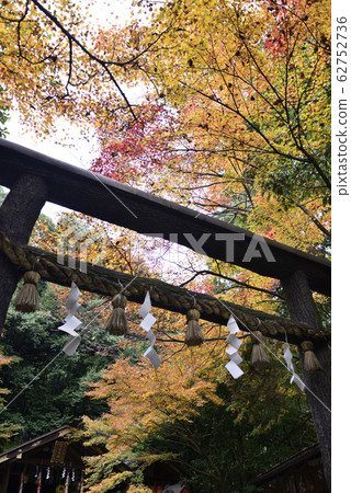 黑木的野宮神社鳥居 62752736